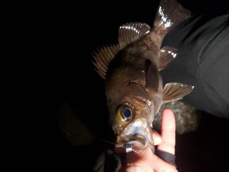 短時間メバリング