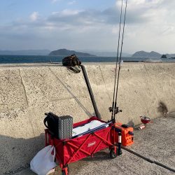 シャアジギング