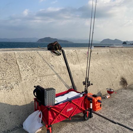 シャアジギング