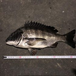 まあまあのマチヌ