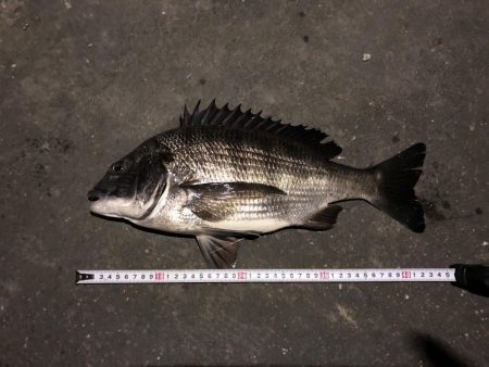 まあまあのマチヌ