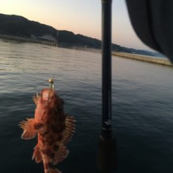 ひさびさの釣果❗️