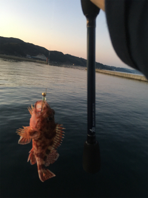 ひさびさの釣果❗️