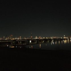 淀川シーバスを求めて