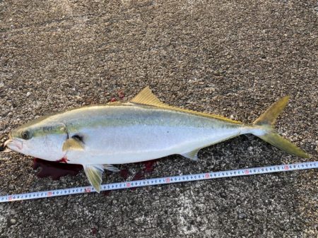 ヘッポコジャークでポコポコブリブリ！