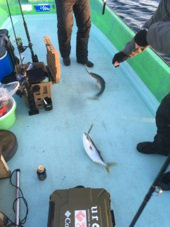 ジギングで珍魚イトヒキアジ