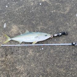 大雪の堤防でもヘッポコジャーク！