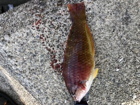 今年初釣り‼︎