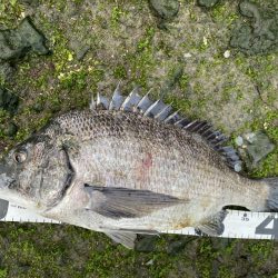 イチノ兄弟、釣果！