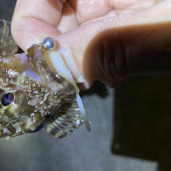 暖かかったので