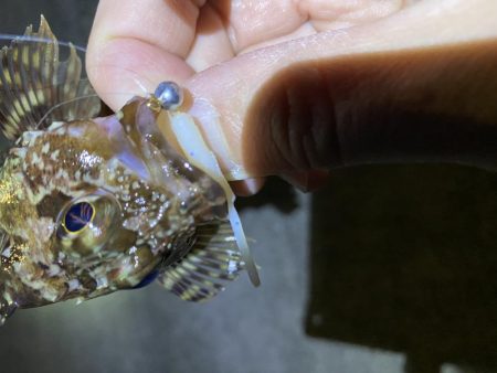 暖かかったので