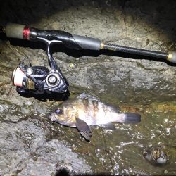 ゴロタでメバリング