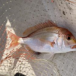 真冬のマイボート釣行