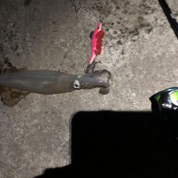 気温、風、最高