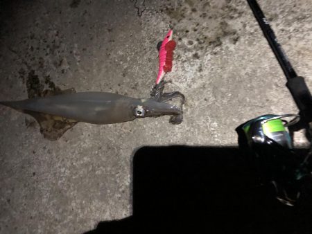 気温、風、最高