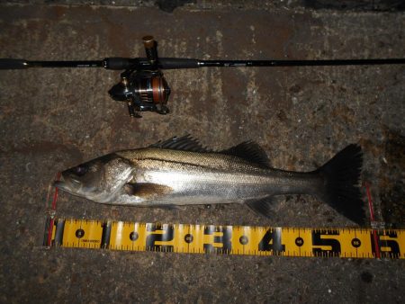 狙いはディープエリア。