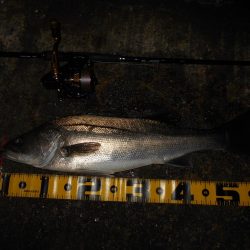 爆風で不利…。