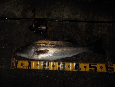 爆風で不利…。