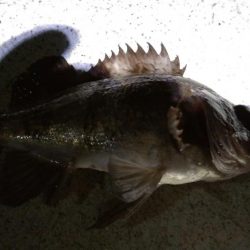 暖かく風も無いので