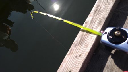 1年ぶりのワカサギ