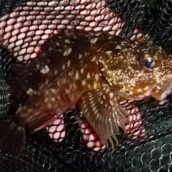 いい感じの流れ