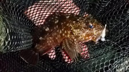 いい感じの流れ