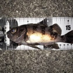 何をやってもダメ