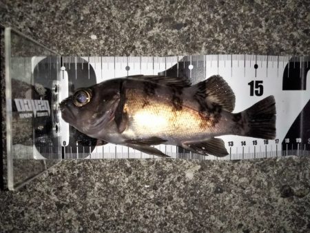 何をやってもダメ