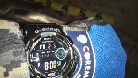 ぶらシーバス!!