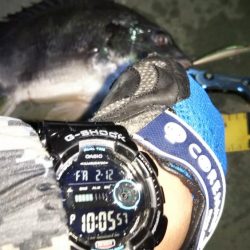 ぶら河川調査！！