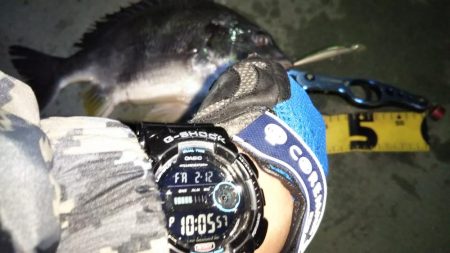 ぶら河川調査！！