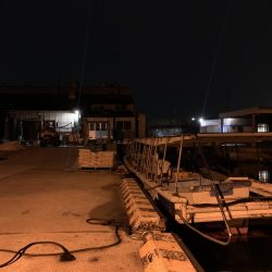 メバルプラッキング③