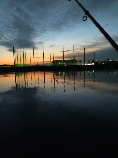 メタルバイブで