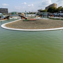 岸和田フィッシングパーク 絶好調