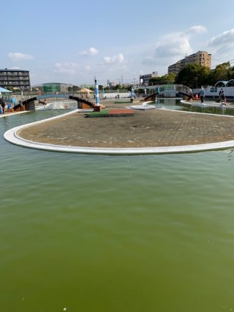 岸和田フィッシングパーク 絶好調