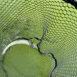 岸和田さんでボトム釣り