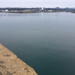 アジ53匹、ボラ60㎝1匹