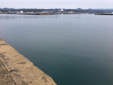 アジ53匹、ボラ60㎝1匹