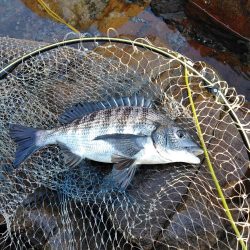 フカセ‥最高ですネ・・