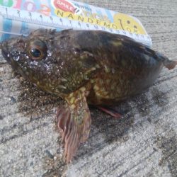 釣りデビュー 73日目