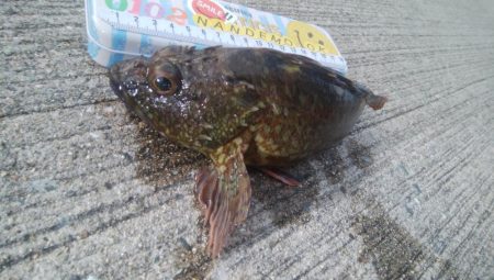 釣りデビュー 73日目