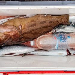 康仁丸・ジギング釣り果