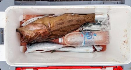 康仁丸・ジギング釣り果