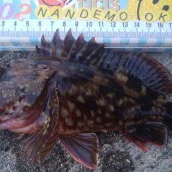 釣りデビュー　80日目