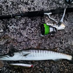 ロッド鱗付けの為にお出掛け