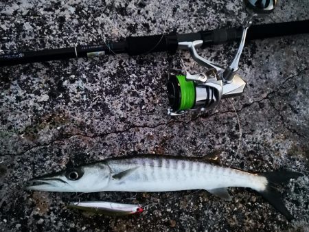 ロッド鱗付けの為にお出掛け