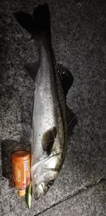 初ランナーシーバス