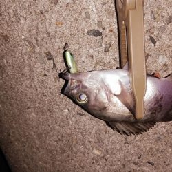 タフコンディション