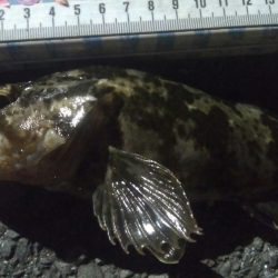 釣りデビュー 90日目