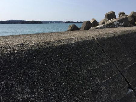 文里港でウォーキング　尺アジ1匹